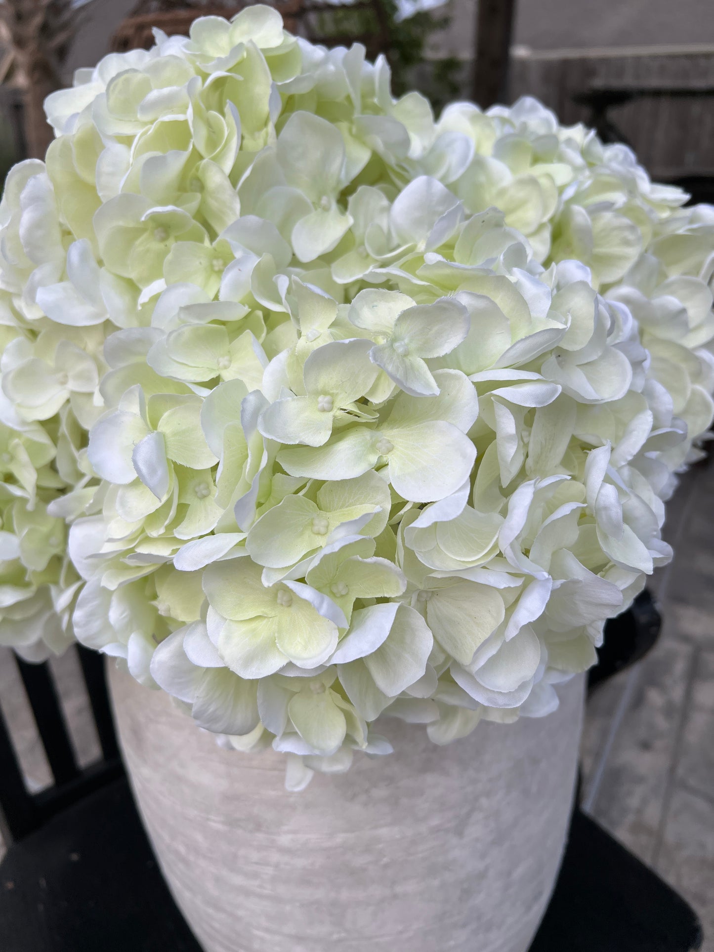 FRESHCUT WHITE HYDRANGEA SPRAY