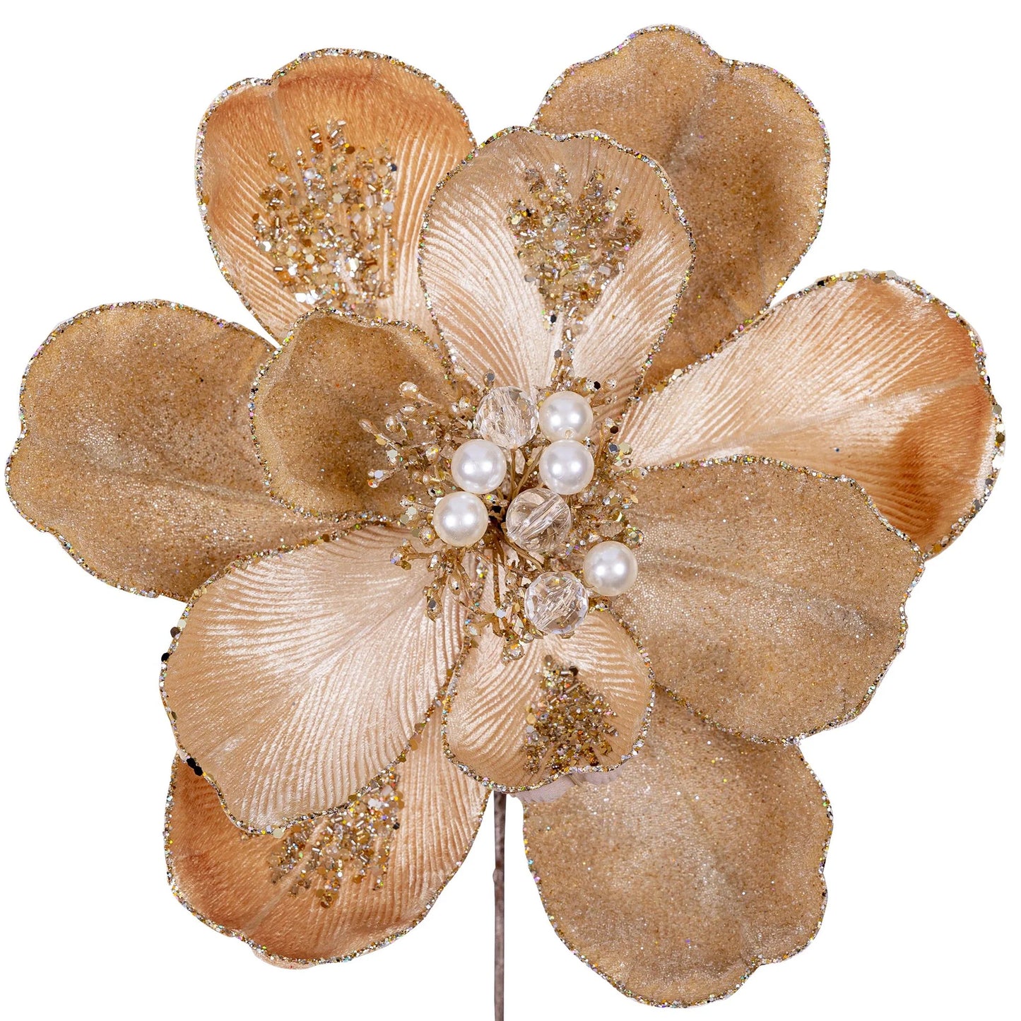 GRAND MAGNOLIA STEM(CHAMPAGNE) FARRISILK