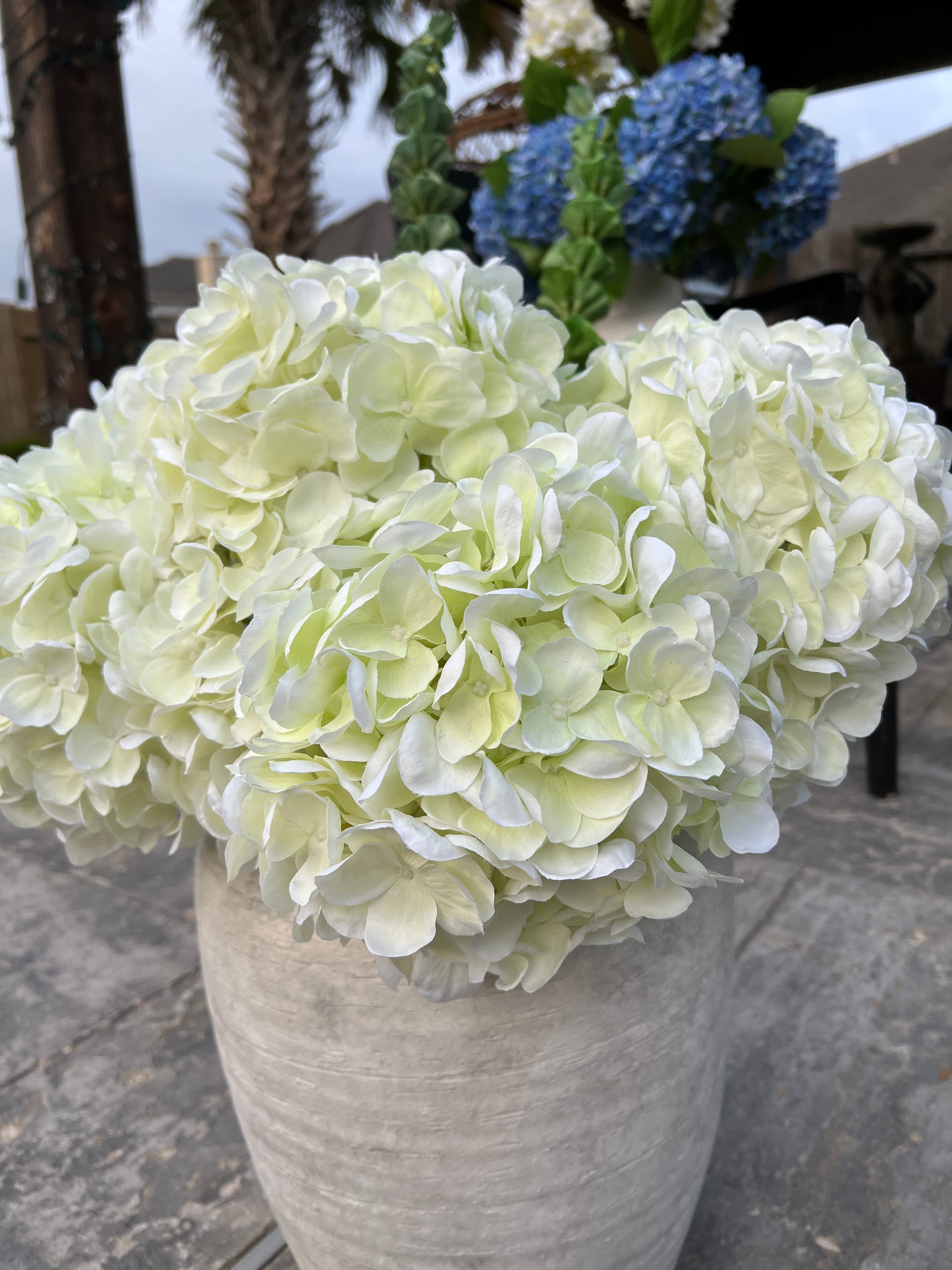 FRESHCUT WHITE HYDRANGEA SPRAY