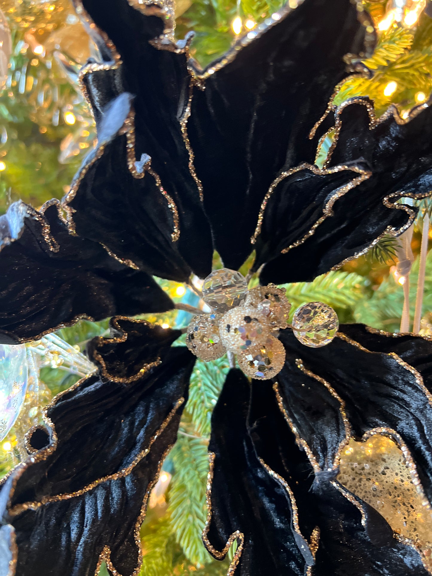 BLACK POINSETTIA STEM ( FARRISILK)