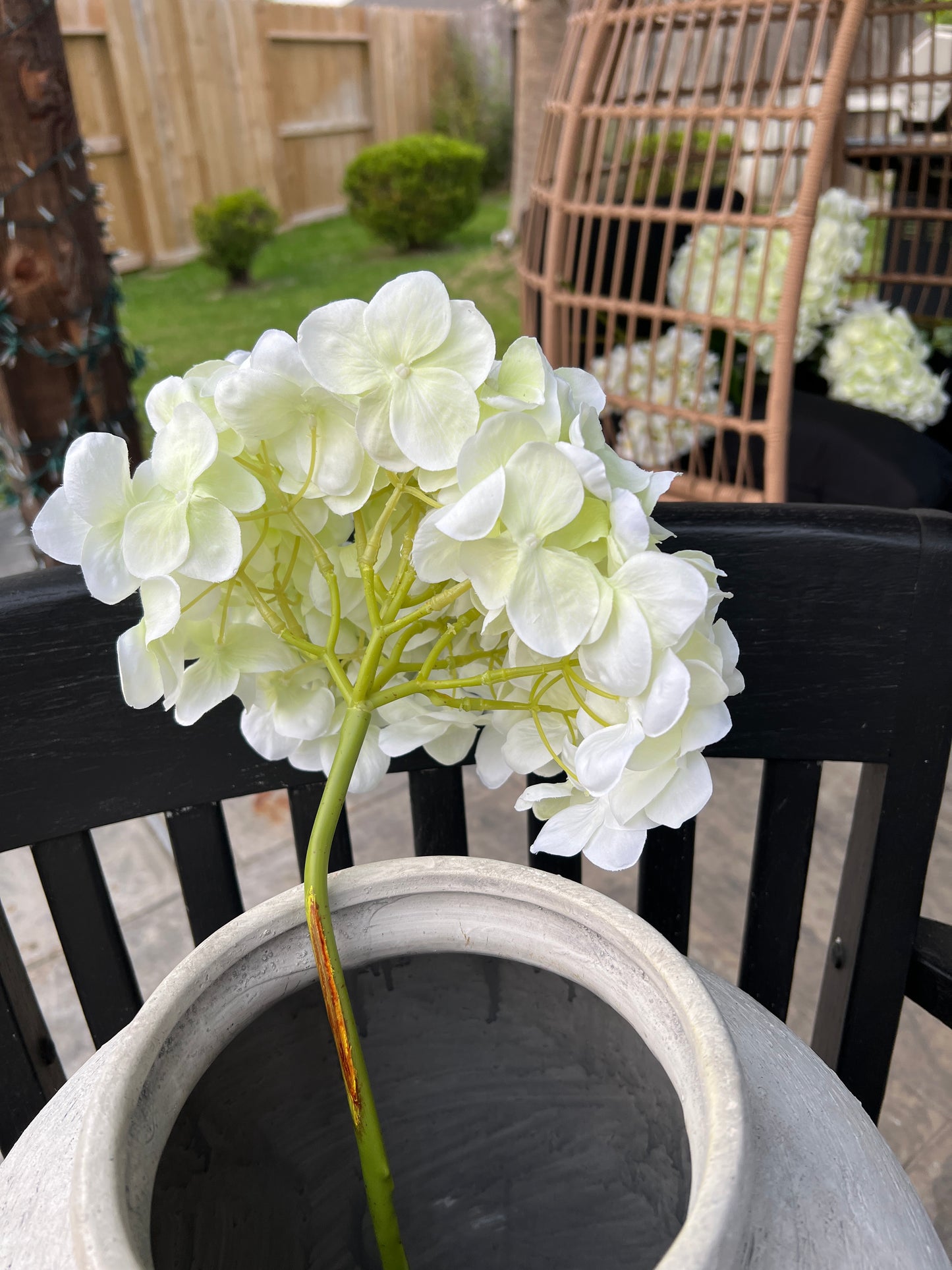 FRESHCUT WHITE HYDRANGEA SPRAY