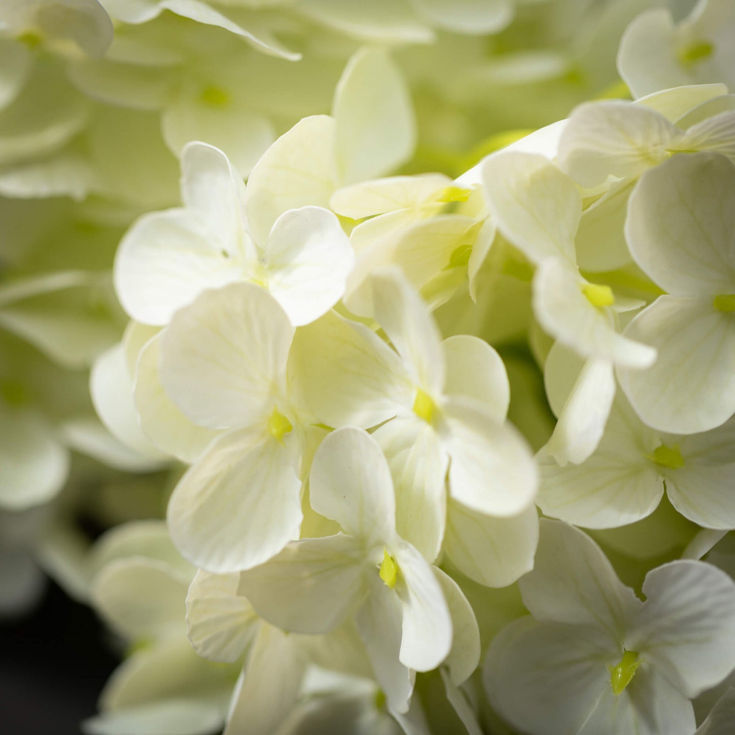 IVORY CONE HYDRANGEA SPRAY real touch