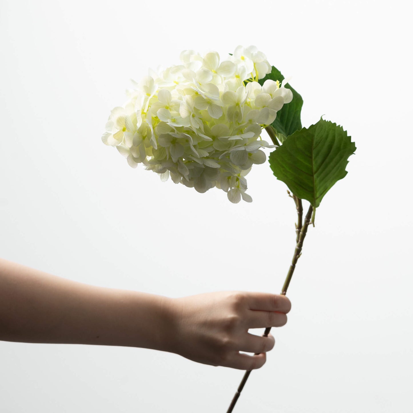 IVORY CONE HYDRANGEA SPRAY real touch