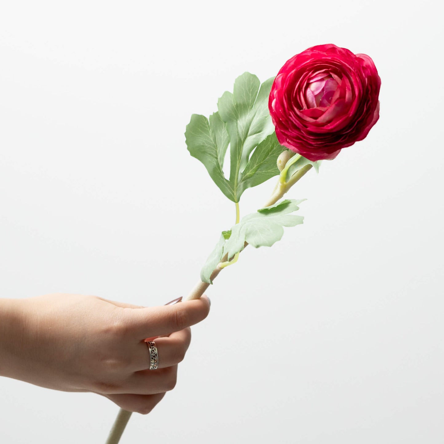 FUCHSIA RANUNCULUS SPRAY