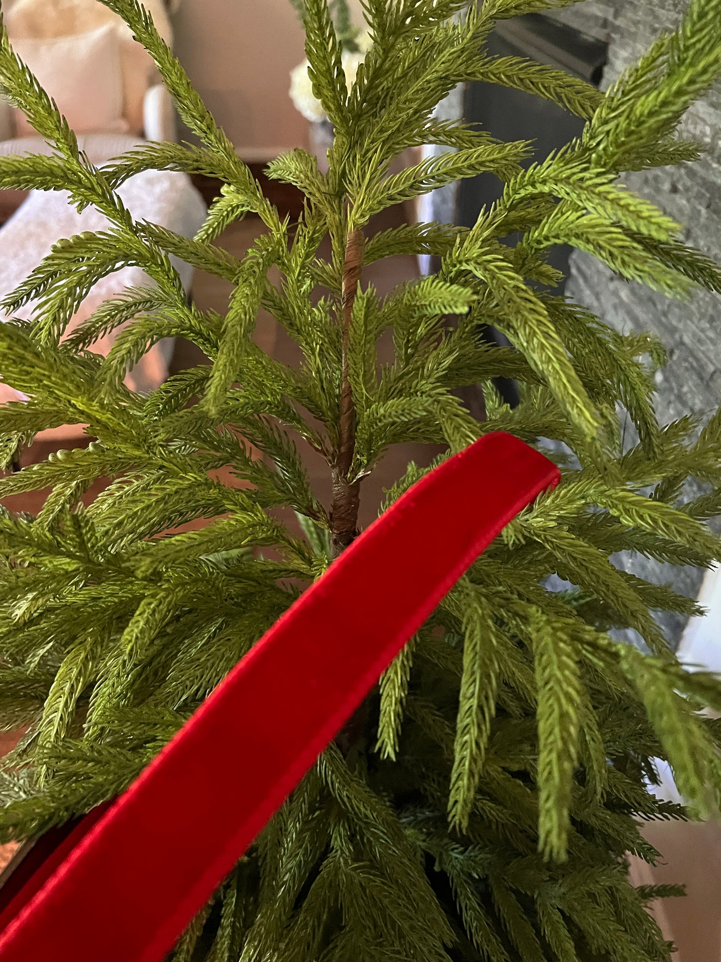 Red velvet ribbon 1” x 10 yrd