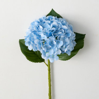 FRESH CUT VIVID BLUE SPRING HY