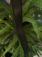 Black satin ribbon