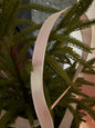 White satin ribbon