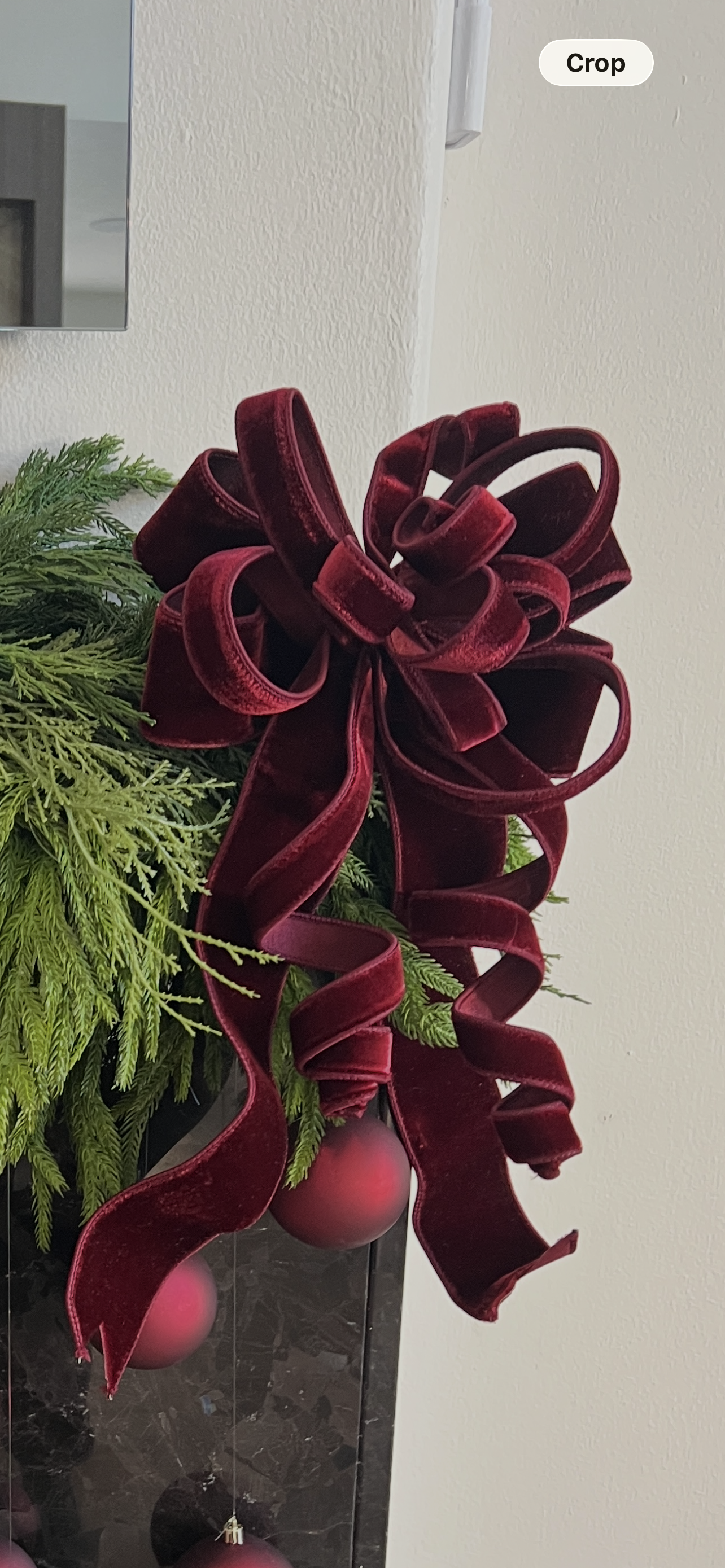 Burgundy velvet 2.5”x 10 yrd