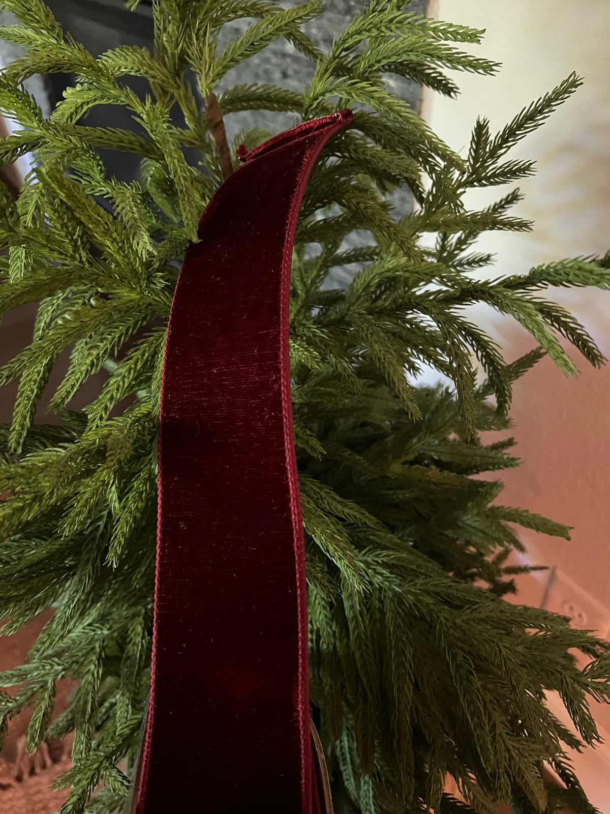 Burgundy velvet 2.5”x 10 yrd