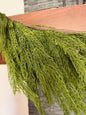 9’ green Norfolk pine garland